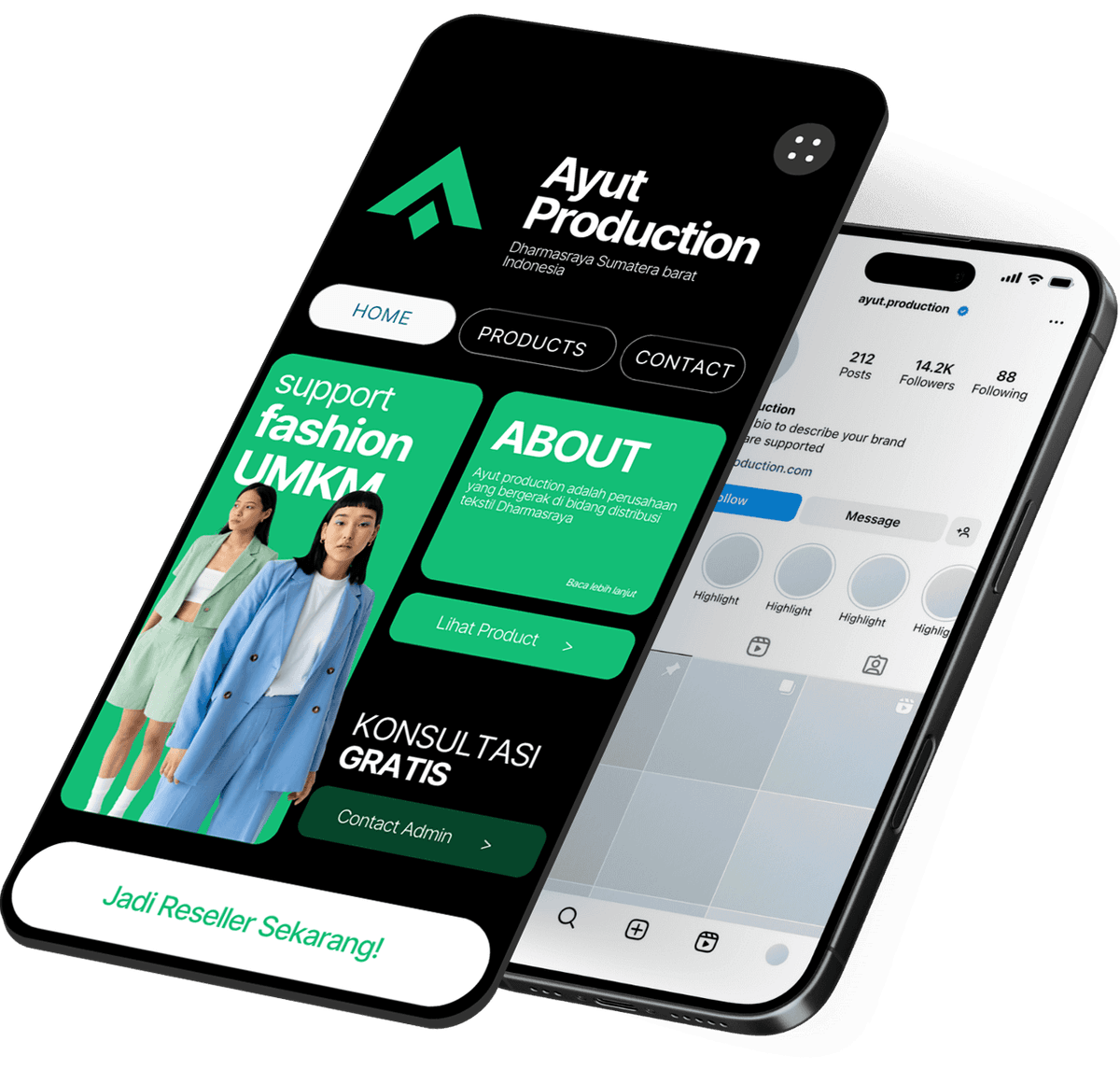 diicreative professional website service